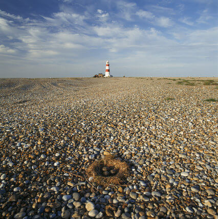 Orford Ness Beach